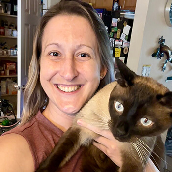 cat sitter in longmont colorado