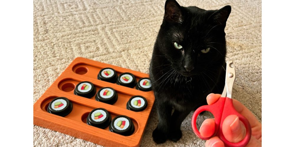 This black cat isn't impressed by those nail trim scissors.